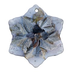 Winter Frost Ice Sheet Leaves Ornament (snowflake) by Celenk