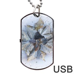 Winter Frost Ice Sheet Leaves Dog Tag Usb Flash (two Sides) by Celenk