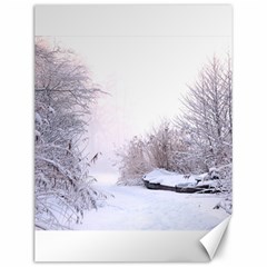 Winter Snow Ice Freezing Frozen Canvas 12  X 16   by Celenk