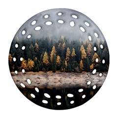 Trees Plants Nature Forests Lake Ornament (round Filigree) by Celenk