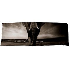 Elephant Black And White Animal Body Pillow Case Dakimakura (two Sides) by Celenk