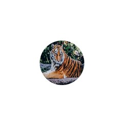 Animal Big Cat Safari Tiger 1  Mini Magnets by Celenk