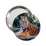 Animal Big Cat Safari Tiger 2.25  Handbag Mirrors Front