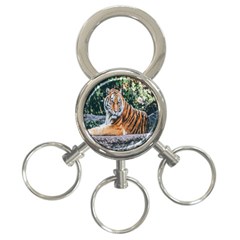Animal Big Cat Safari Tiger 3-ring Key Chains by Celenk