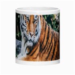 Animal Big Cat Safari Tiger Morph Mugs Center