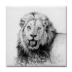 Lion Wildlife Art And Illustration Pencil Tile Coasters by Celenk