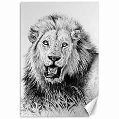 Lion Wildlife Art And Illustration Pencil Canvas 12  X 18   by Celenk