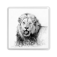 Lion Wildlife Art And Illustration Pencil Memory Card Reader (square)  by Celenk