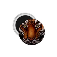 The Tiger Face 1.75  Magnets