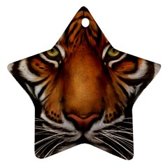 The Tiger Face Ornament (Star)