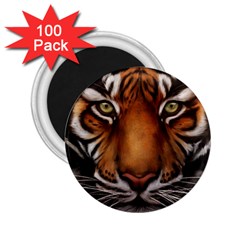 The Tiger Face 2 25  Magnets (100 Pack)  by Celenk