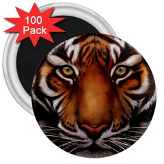 The Tiger Face 3  Magnets (100 pack)