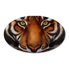 The Tiger Face Oval Magnet