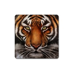 The Tiger Face Square Magnet