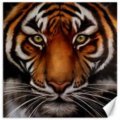 The Tiger Face Canvas 12  x 12  