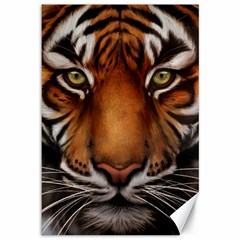 The Tiger Face Canvas 12  x 18  