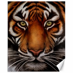 The Tiger Face Canvas 16  x 20  