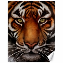 The Tiger Face Canvas 18  x 24  