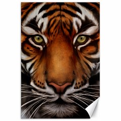 The Tiger Face Canvas 20  x 30  