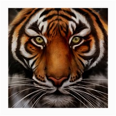 The Tiger Face Medium Glasses Cloth (2-Side)