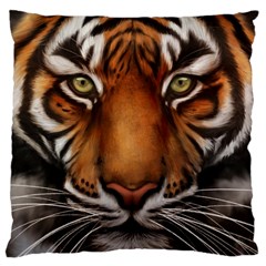 The Tiger Face Large Cushion Case (Two Sides)