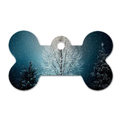 Winter Wintry Snow Snow Landscape Dog Tag Bone (two Sides) by Celenk