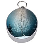 Winter Wintry Snow Snow Landscape Silver Compasses Front