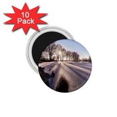 Winter Lake Cold Wintry Frozen 1 75  Magnets (10 Pack)  by Celenk