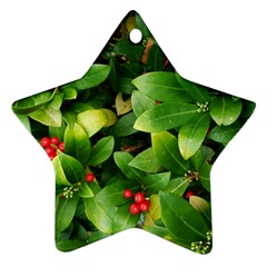 Christmas Season Floral Green Red Skimmia Flower Star Ornament (two Sides) by yoursparklingshop