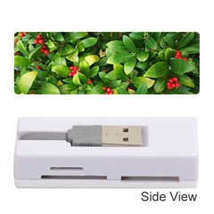 Christmas Season Floral Green Red Skimmia Flower Memory Card Reader (stick)  by yoursparklingshop