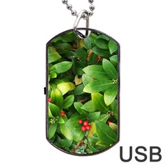 Christmas Season Floral Green Red Skimmia Flower Dog Tag Usb Flash (one Side) by yoursparklingshop