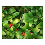 Christmas Season Floral Green Red Skimmia Flower Double Sided Flano Blanket (Large)  80 x60  Blanket Front