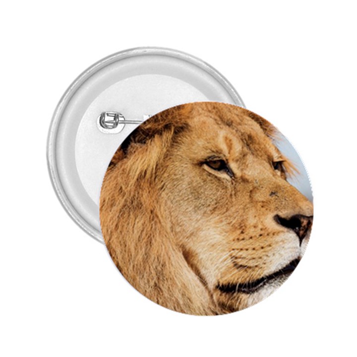 Big male lion looking right 2.25  Buttons