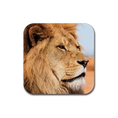 Big Male Lion Looking Right Rubber Coaster (square)  by Ucco