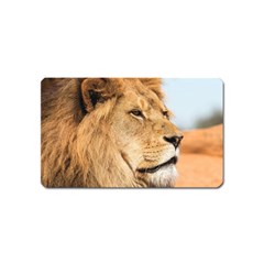 Big Male Lion Looking Right Magnet (name Card)