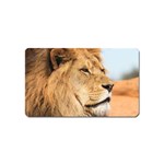 Big male lion looking right Magnet (Name Card) Front