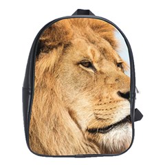 Big Male Lion Looking Right School Bag (large) by Ucco