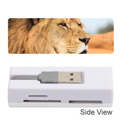 Big Male Lion Looking Right Memory Card Reader (stick) 