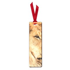 Big Male Lion Looking Right Small Book Marks by Ucco