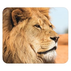 Big Male Lion Looking Right Double Sided Flano Blanket (small)  by Ucco
