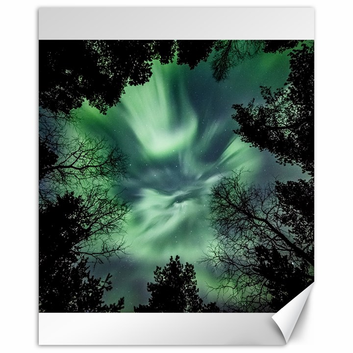 Northern lights in the forest Canvas 16  x 20  