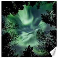 Northern Lights In The Forest Canvas 20  X 20   by Ucco