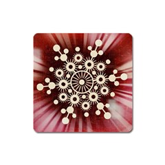 Background Star Red Abstract Square Magnet by Celenk