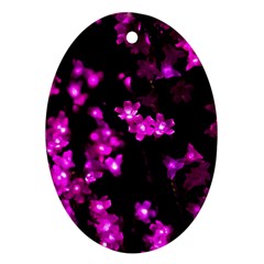 Abstract Background Purple Bright Oval Ornament (two Sides) by Celenk