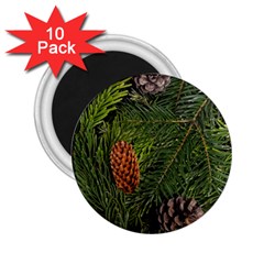 Branch Christmas Cone Evergreen 2 25  Magnets (10 Pack)  by Celenk