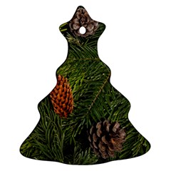 Branch Christmas Cone Evergreen Ornament (christmas Tree)  by Celenk