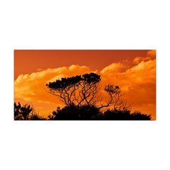 Trees Branches Sunset Sky Clouds Yoga Headband