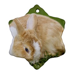 Beautiful Blue Eyed Bunny On Green Grass Ornament (snowflake)