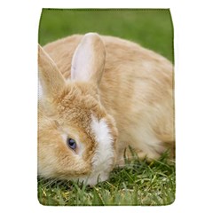 Beautiful Blue Eyed Bunny On Green Grass Flap Covers (s)  by Ucco