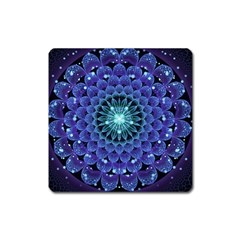 Accordant Electric Blue Fractal Flower Mandala Square Magnet by jayaprime